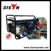 Bison China Zhejiang AVR für Generator Schweißer 6kva Lichtmaschine 220V AC